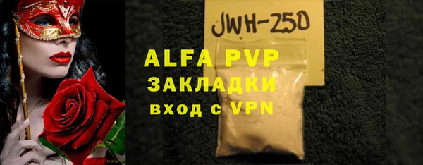 молекула духа Арсеньев