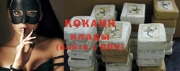 молекула духа Арсеньев