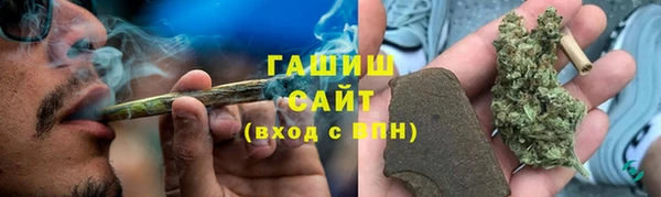 молекула духа Арсеньев