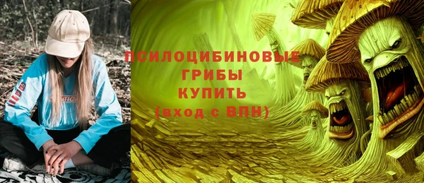 молекула духа Арсеньев