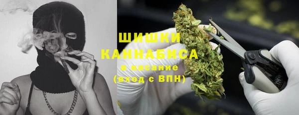 молекула духа Арсеньев