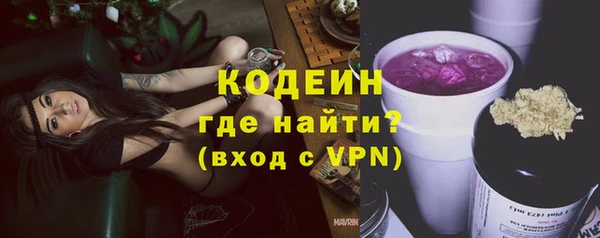 молекула духа Арсеньев