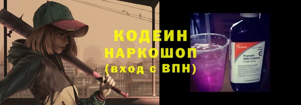 молекула духа Арсеньев