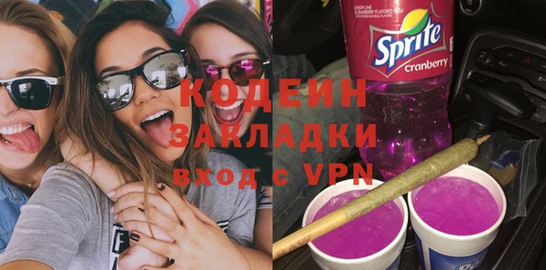 молекула духа Арсеньев