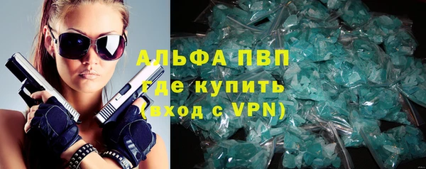 молекула духа Арсеньев