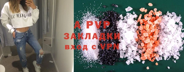 молекула духа Арсеньев