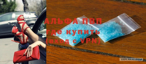 молекула духа Арсеньев