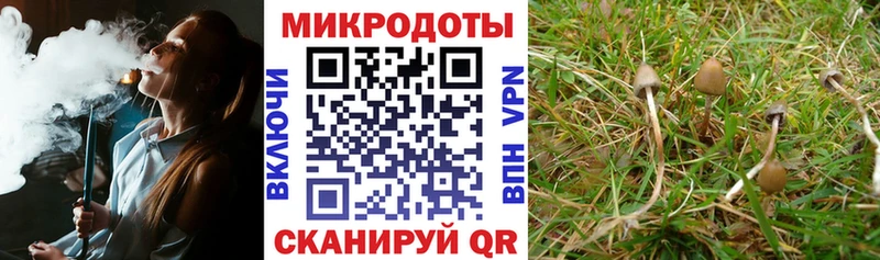 Галлюциногенные грибы Magic Shrooms  Урюпинск 